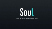 Soul宠物