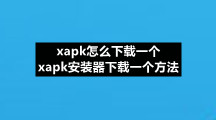 xapk安装器