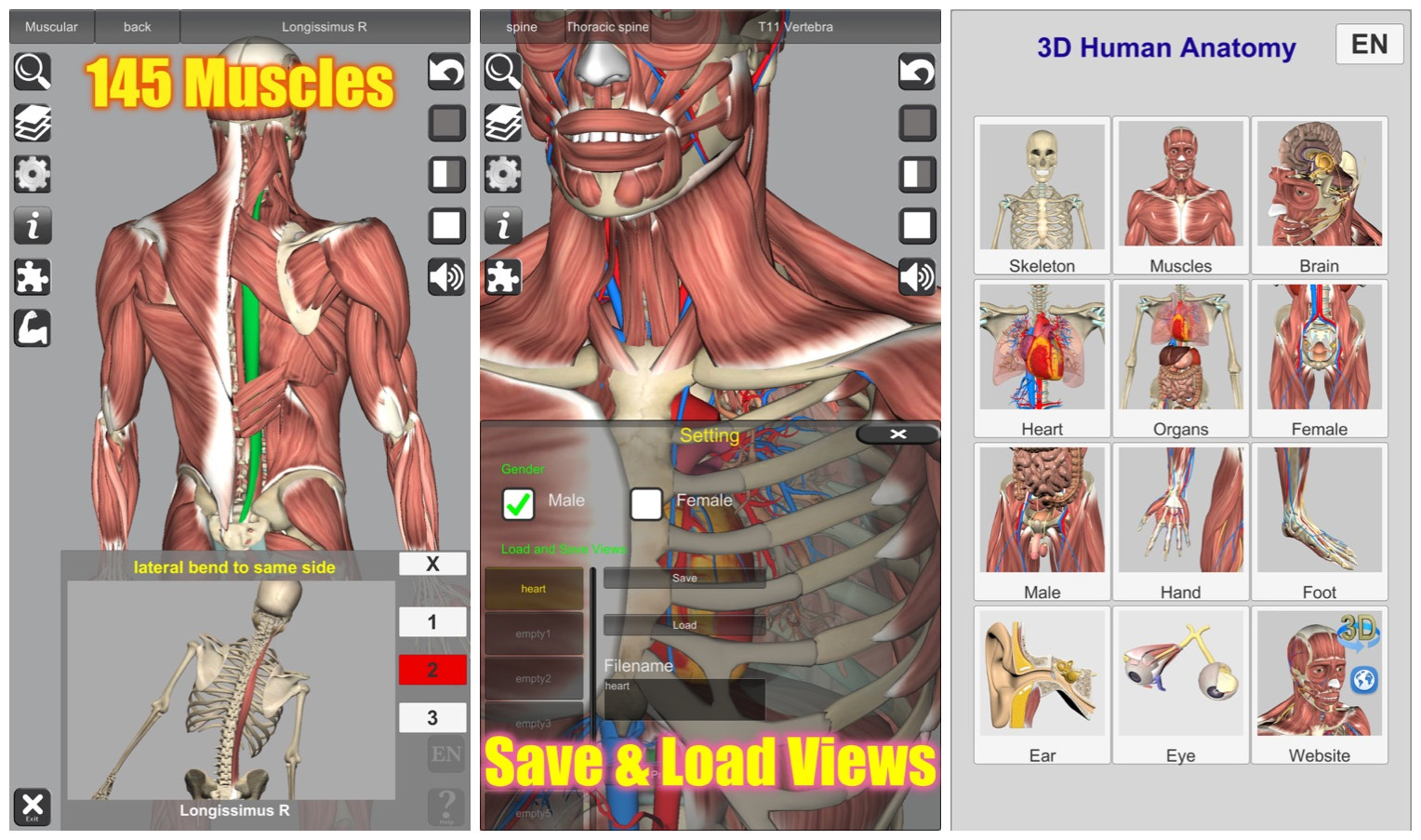 3D Anatomy苹果版免费