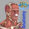 3D Anatomy苹果版免费